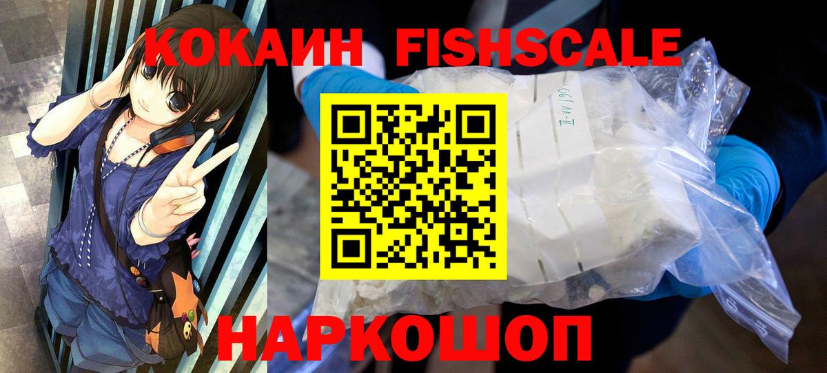 COCAIN Fish Scale  Вход с VPN  Кокаин Columbia  COCAIN  Пугачёв 