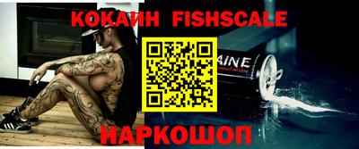тгк Дмитров