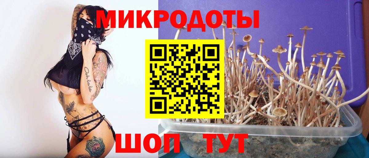 Псилоцибиновые грибы мицелий  Галлюциногенные грибы Cubensis  Вход с VPN  Пугачёв 